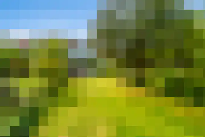 Zijllaan 27 Wassenaar thumbnail 16