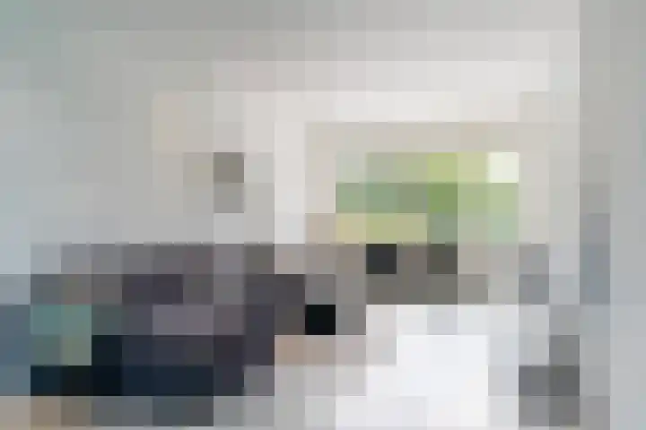 Zijllaan 27 Wassenaar thumbnail 7
