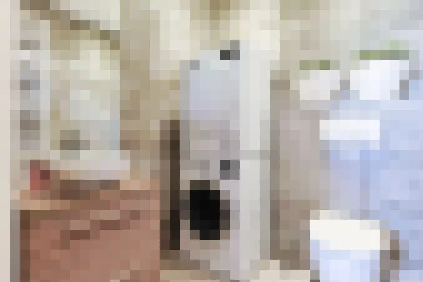 Zijloordkade 1 Leiderdorp thumbnail 12