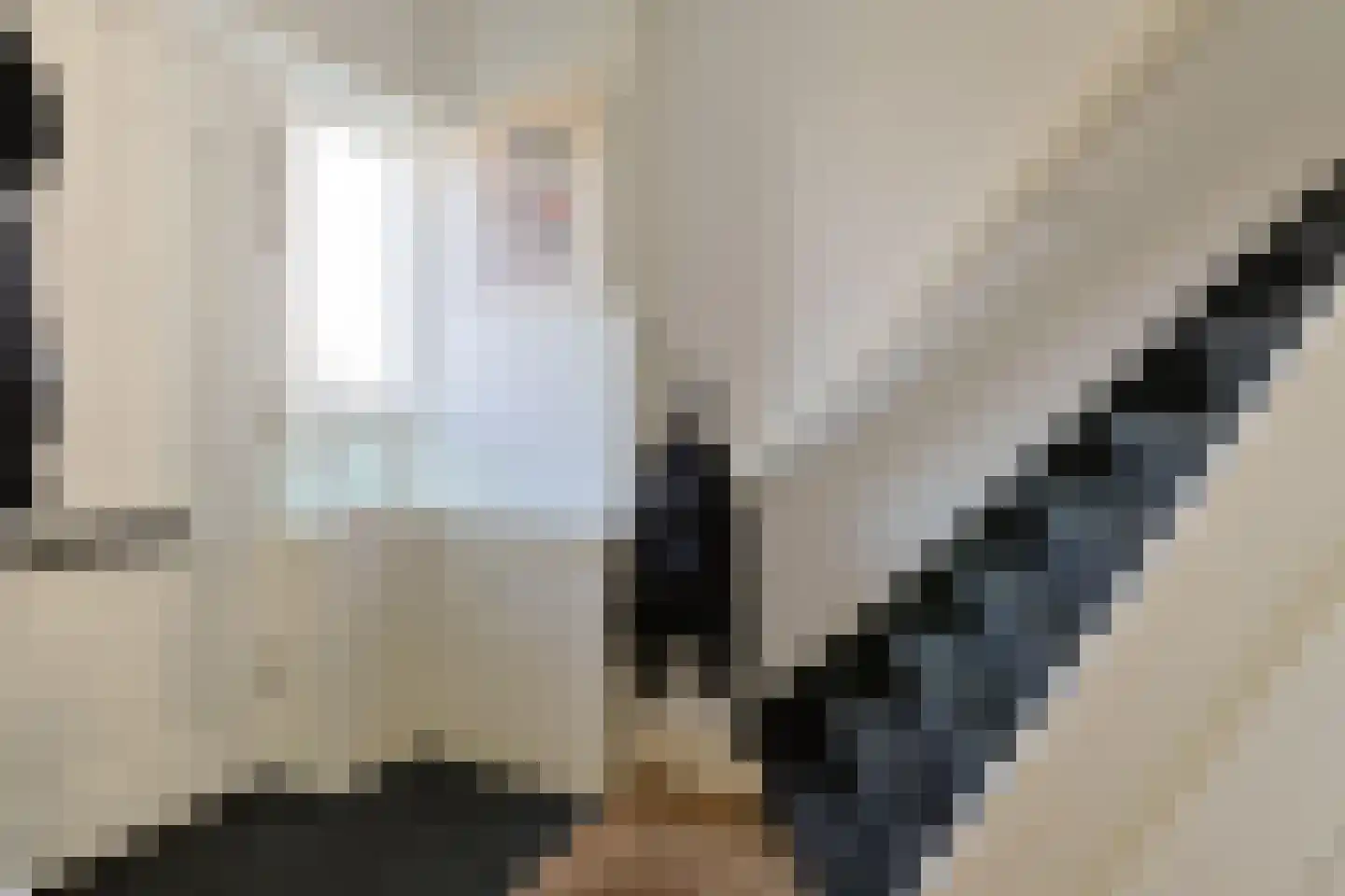 Zijloordkade 1 Leiderdorp thumbnail 13
