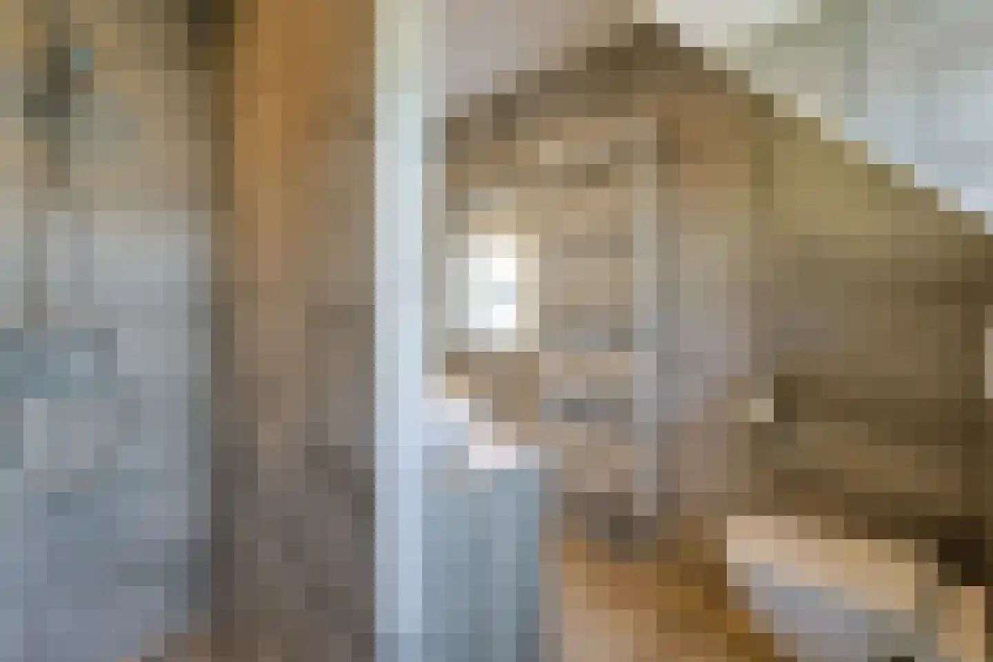 Zijloordkade 1 Leiderdorp thumbnail 20