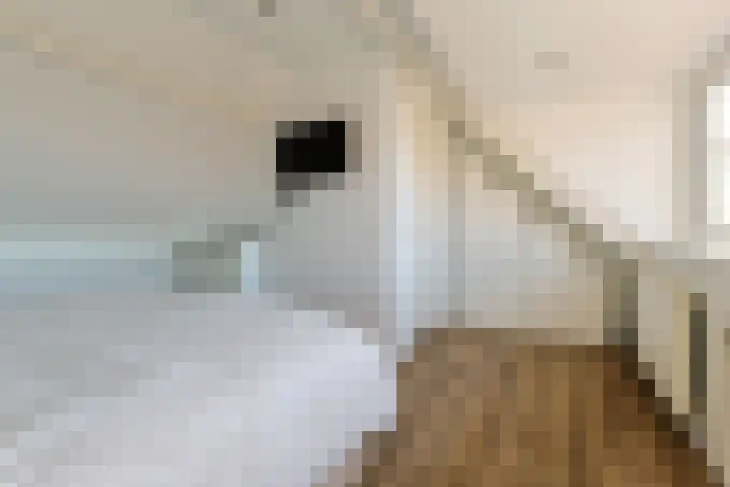 Zijloordkade 1 Leiderdorp thumbnail 25