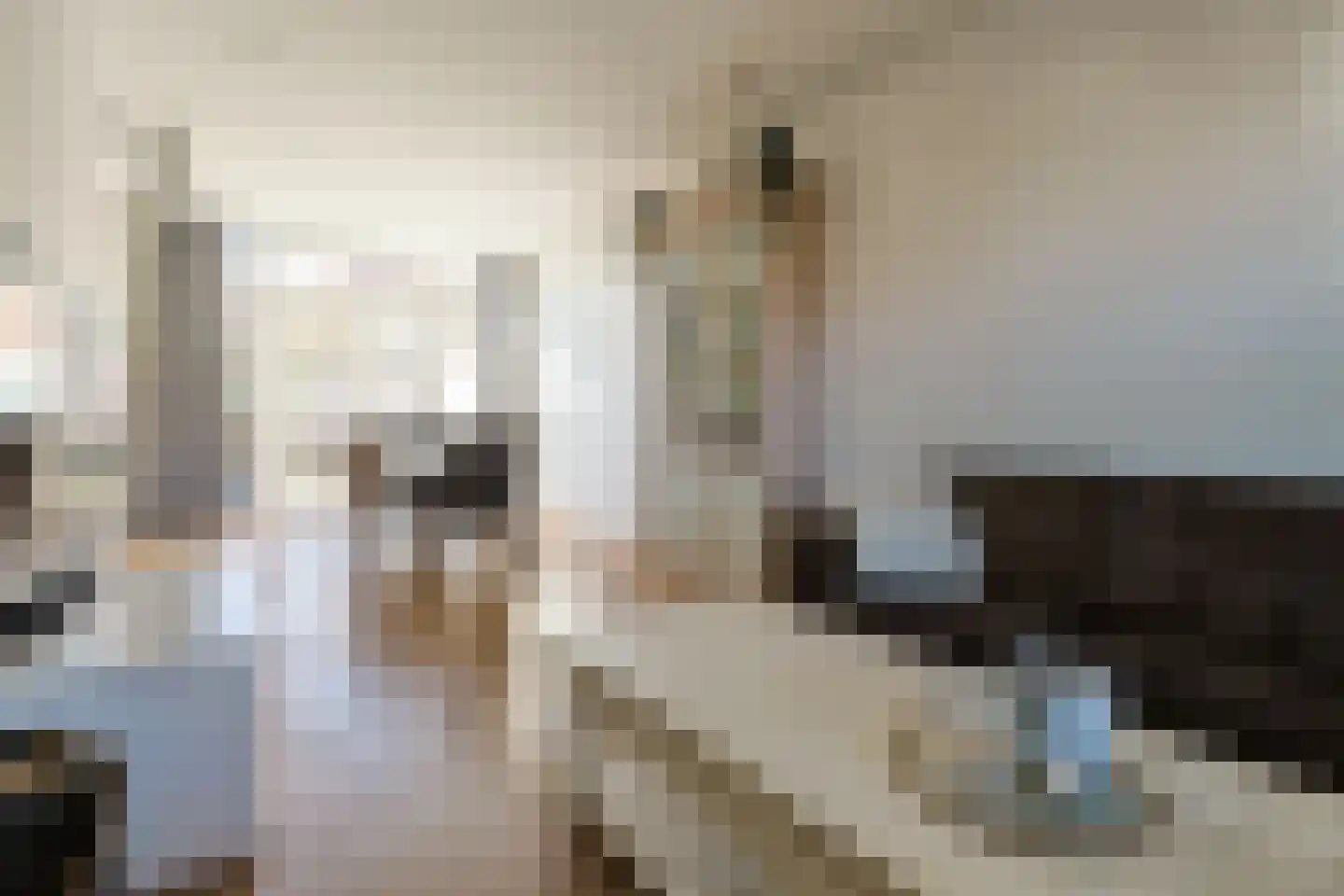 Zijloordkade 1 Leiderdorp thumbnail 8