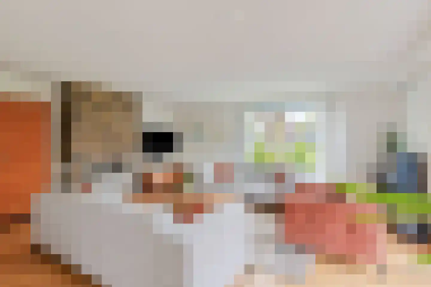 Zijlpoort 8 Nieuw-Vennep thumbnail 11