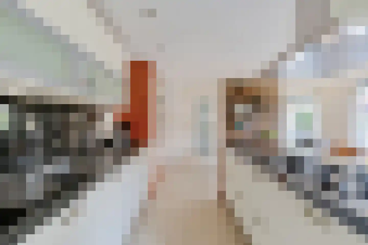 Zijlpoort 8 Nieuw-Vennep thumbnail 19
