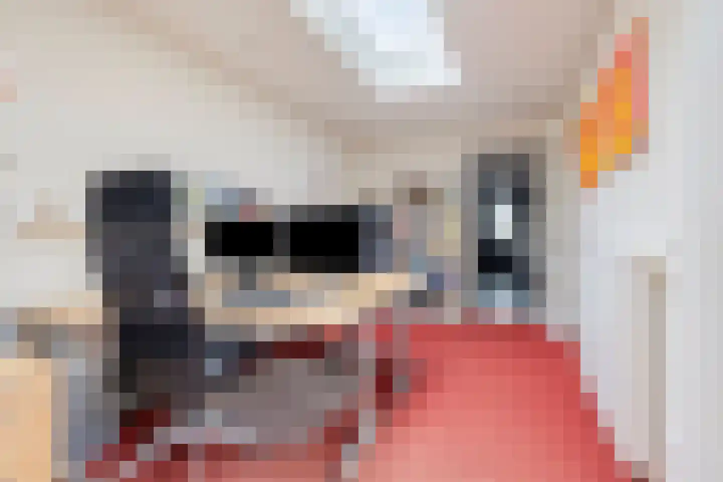 Zijlpoort 8 Nieuw-Vennep thumbnail 27