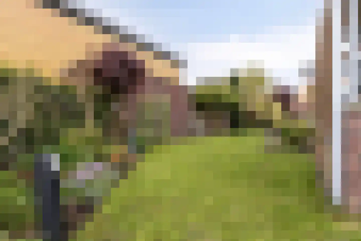 Zijlpoort 8 Nieuw-Vennep thumbnail 35