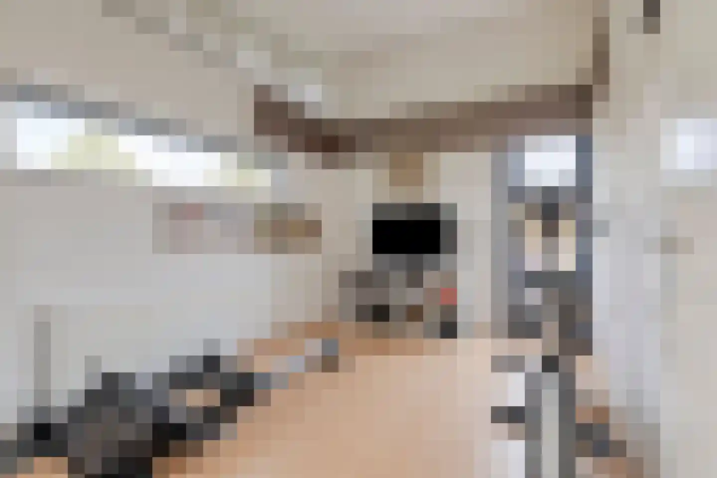 Zijlpoort 8 Nieuw-Vennep thumbnail 41