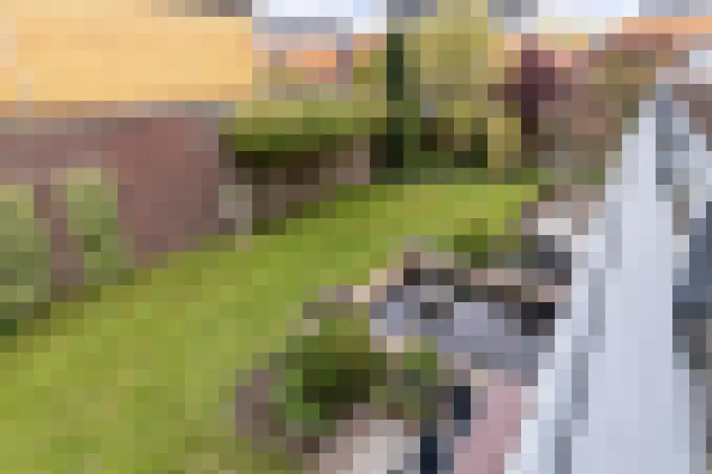 Zijlpoort 8 Nieuw-Vennep thumbnail 49