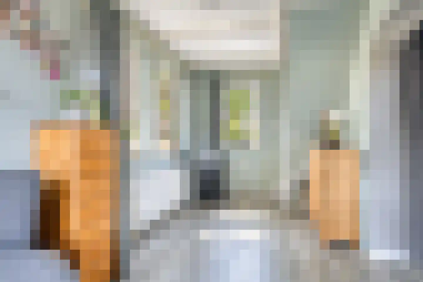 Zijlroede 1 Heerenveen thumbnail 11