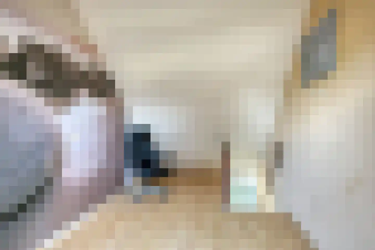 Zijlroede 1 Heerenveen thumbnail 12