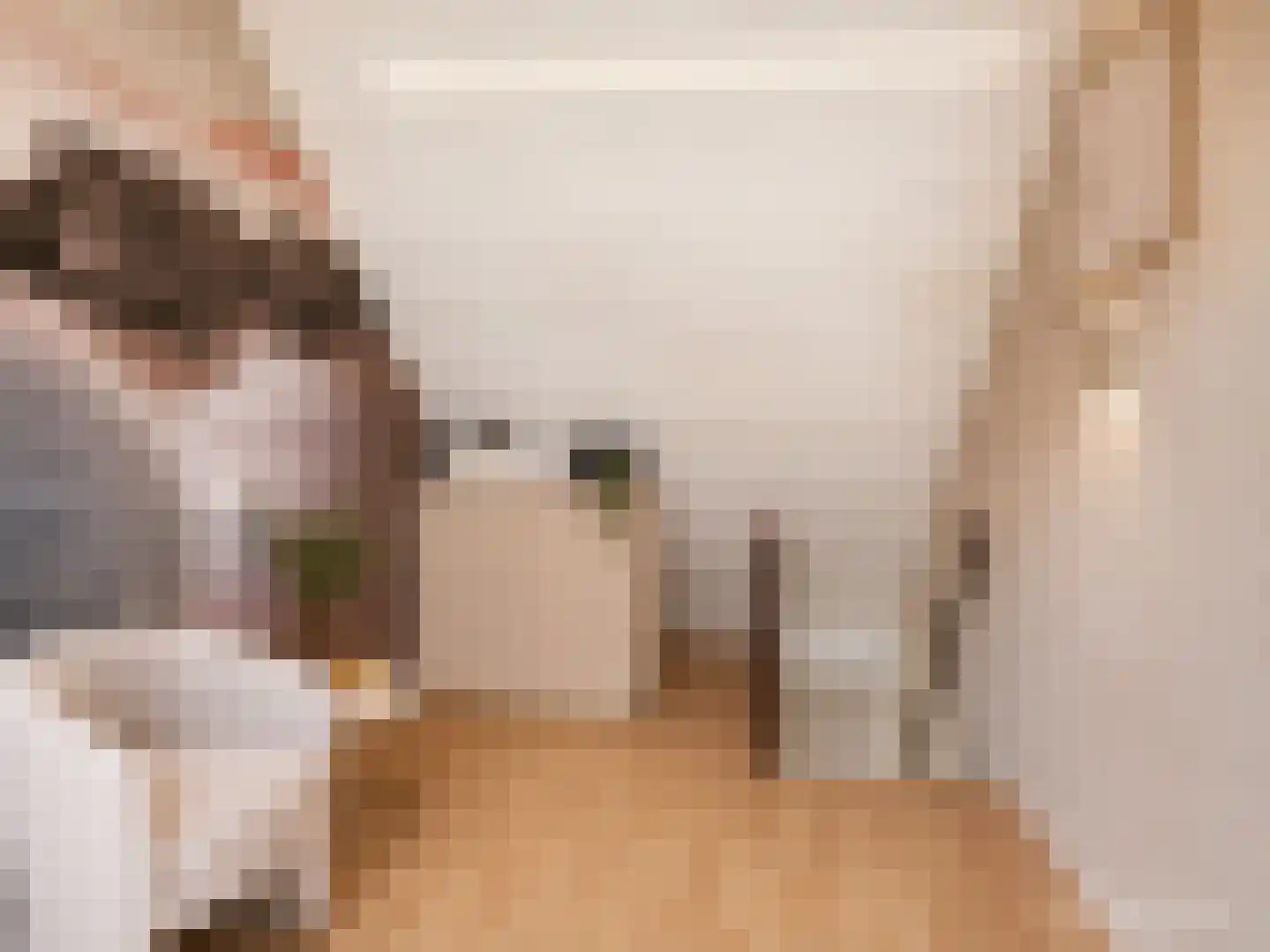 Zijlroede 1 Heerenveen thumbnail 15