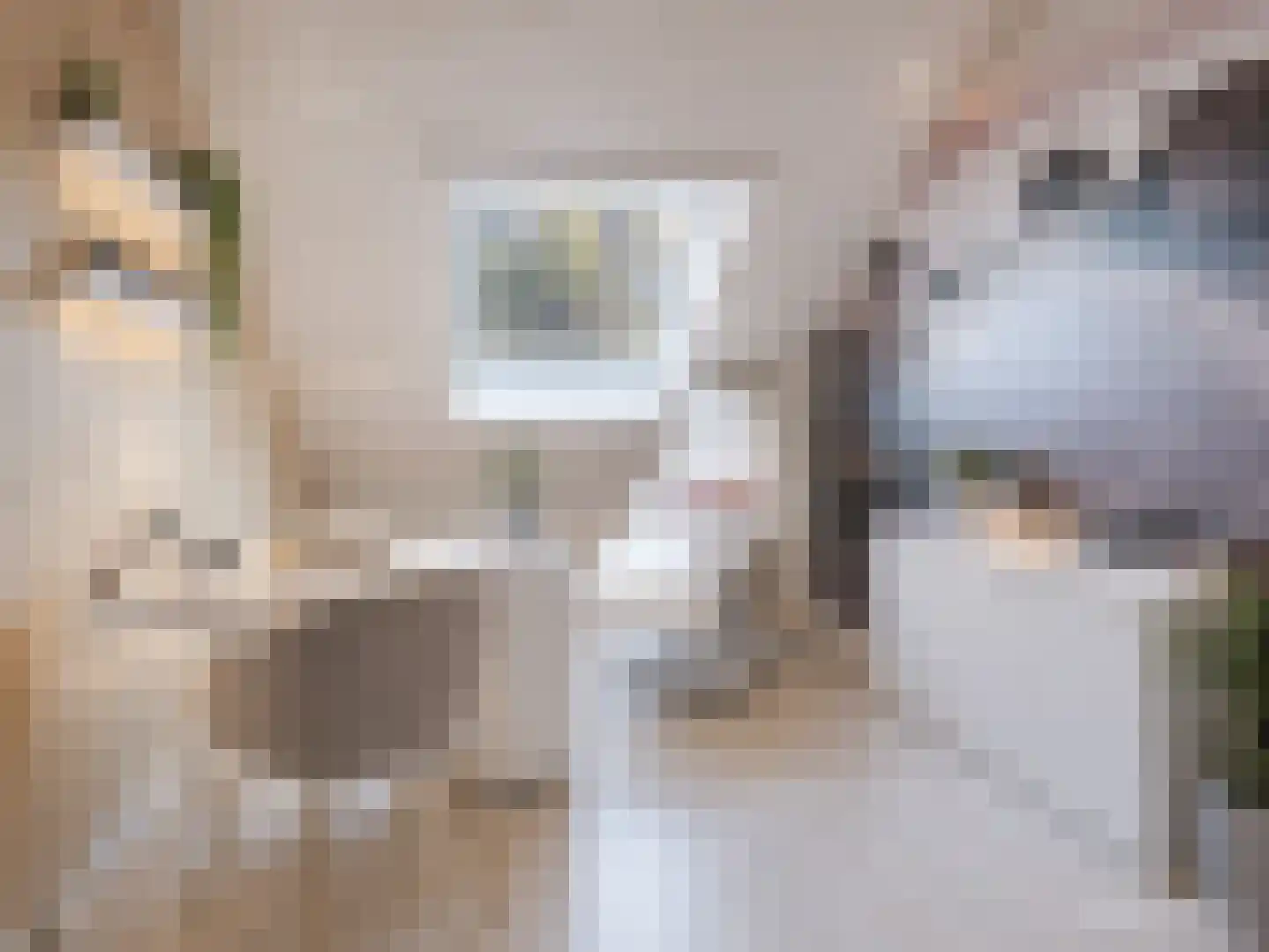 Zijlroede 1 Heerenveen thumbnail 17