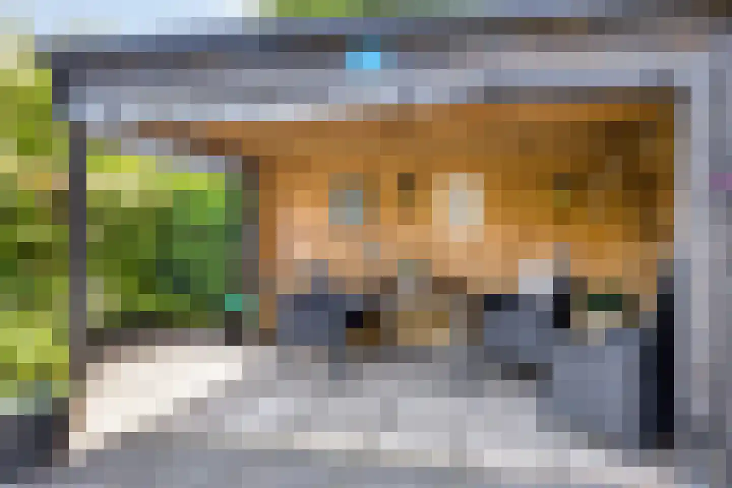 Zijlroede 1 Heerenveen thumbnail 29