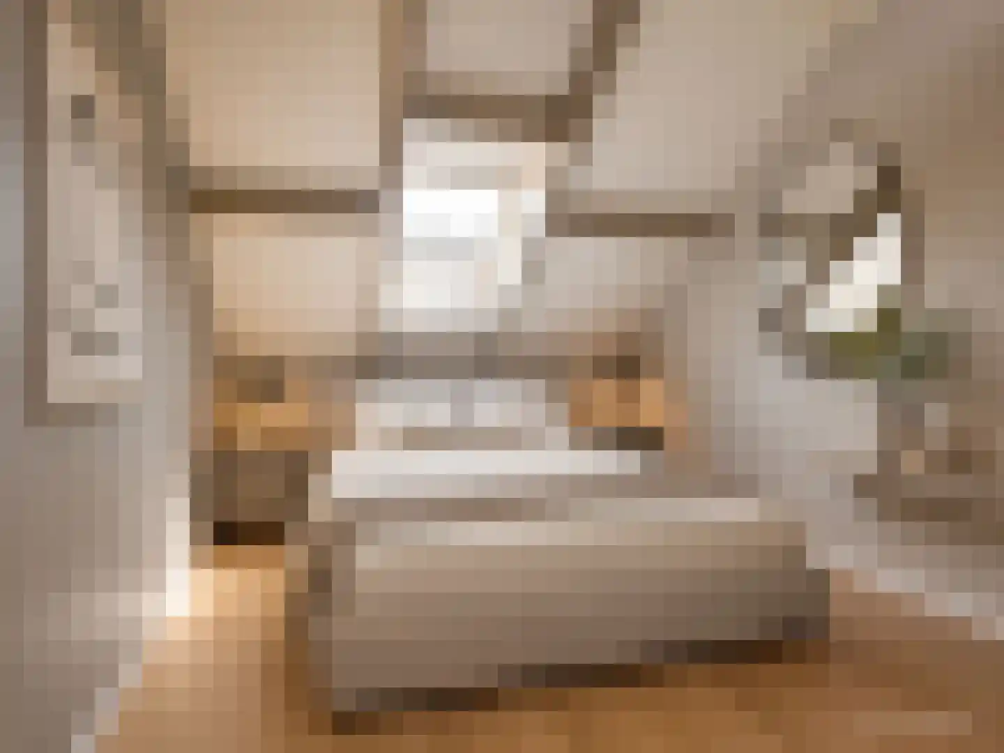 Zijlroede 1 Heerenveen thumbnail 33