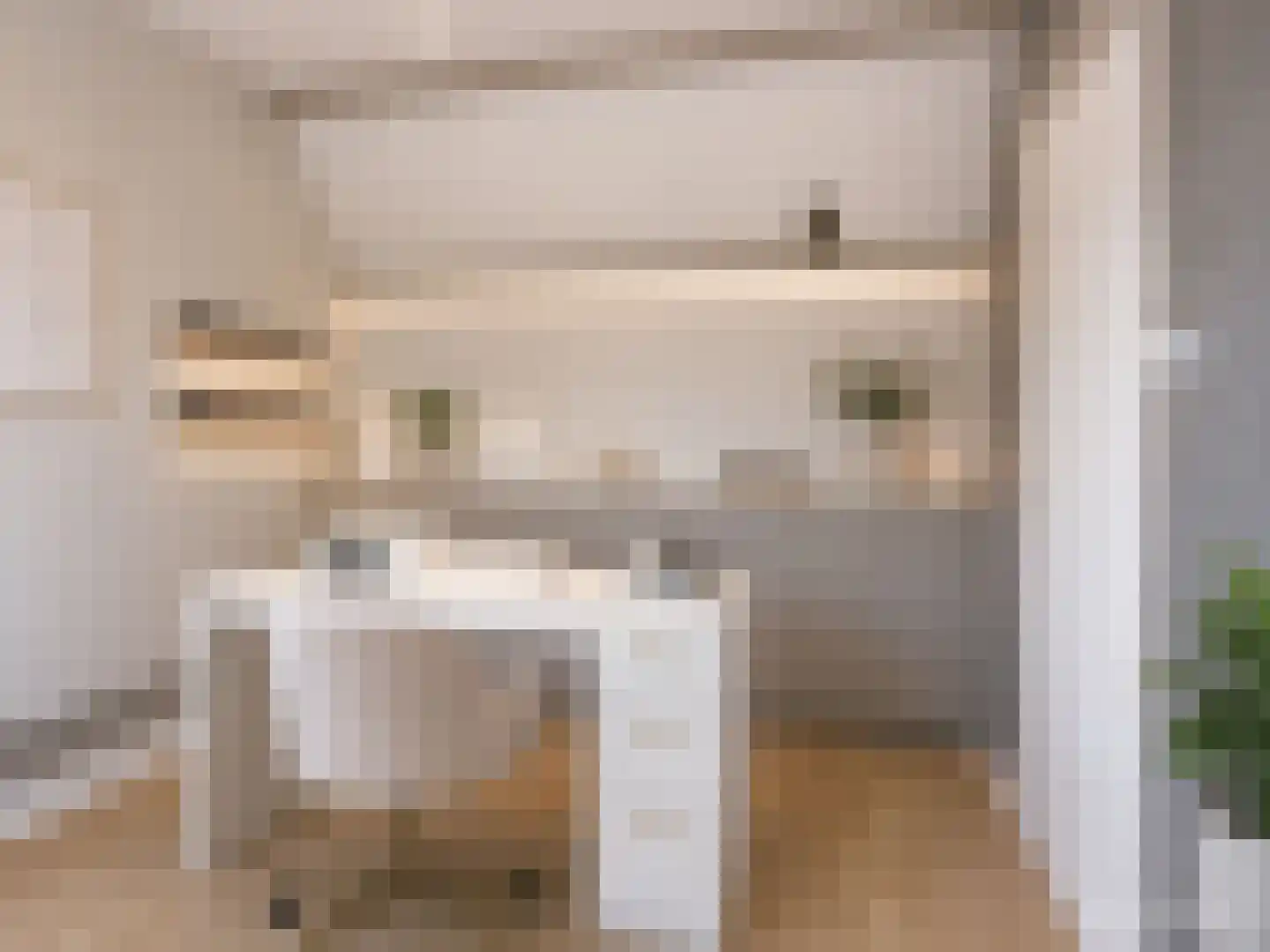 Zijlroede 1 Heerenveen thumbnail 35