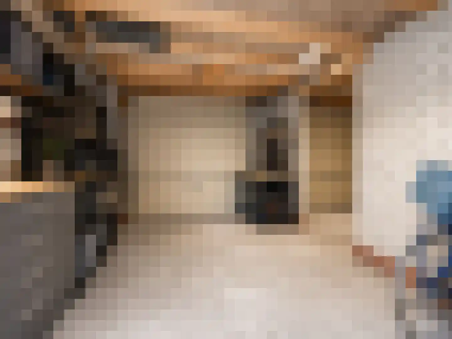 Zijlroede 1 Heerenveen thumbnail 43
