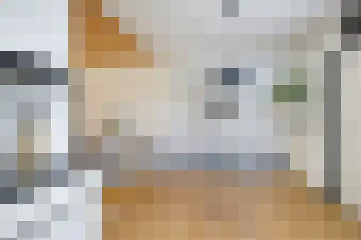 Zijlroede 119 Heerenveen thumbnail 12