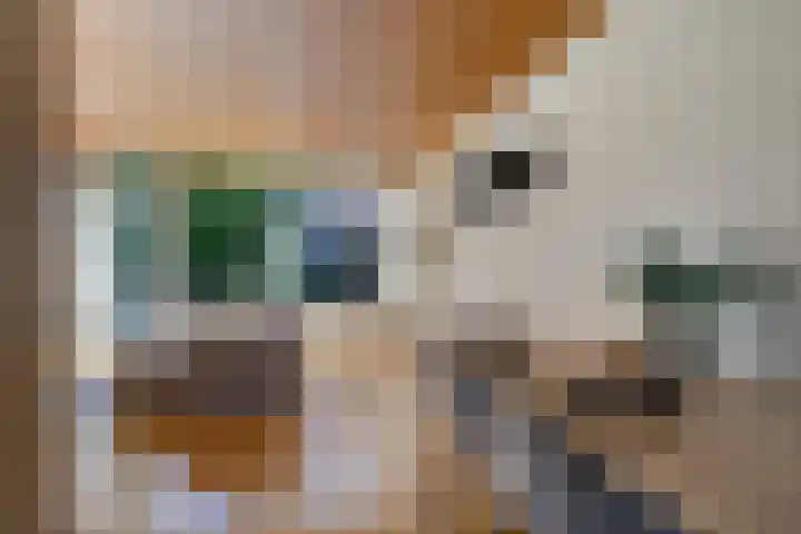 Zijlroede 119 Heerenveen thumbnail 13