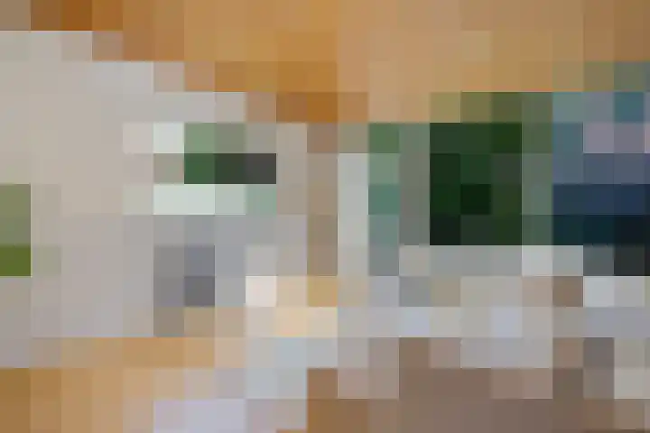 Zijlroede 119 Heerenveen thumbnail 14