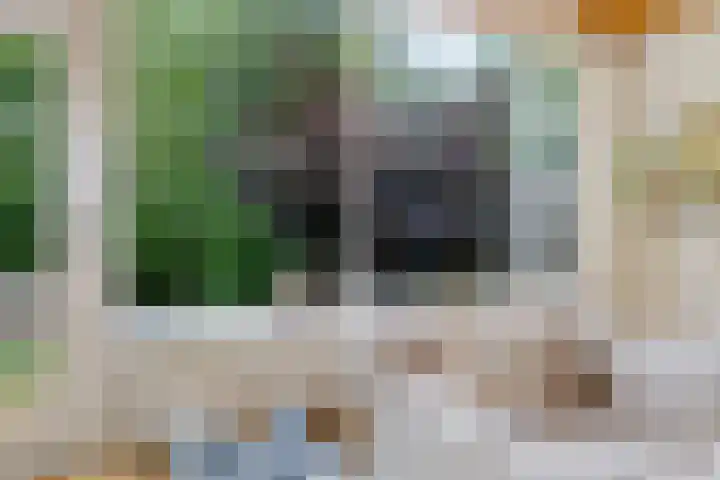 Zijlroede 119 Heerenveen thumbnail 17