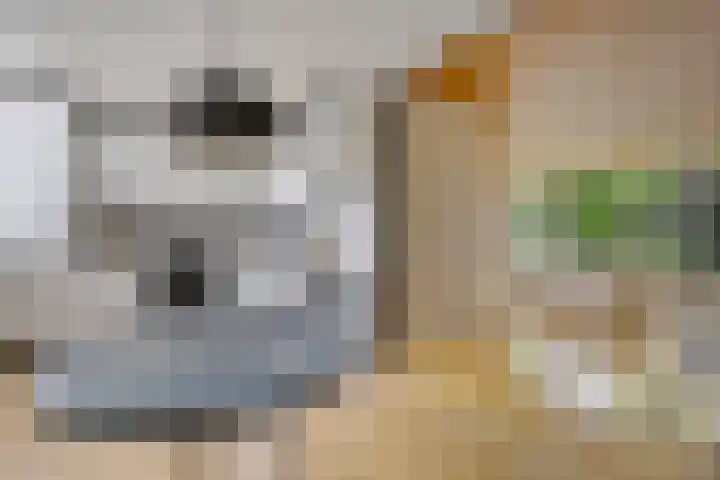 Zijlroede 119 Heerenveen thumbnail 20