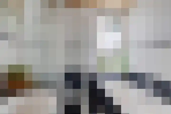 Zijlroede 119 Heerenveen thumbnail 28
