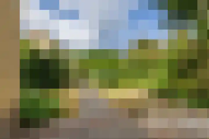 Zijlroede 119 Heerenveen thumbnail 34