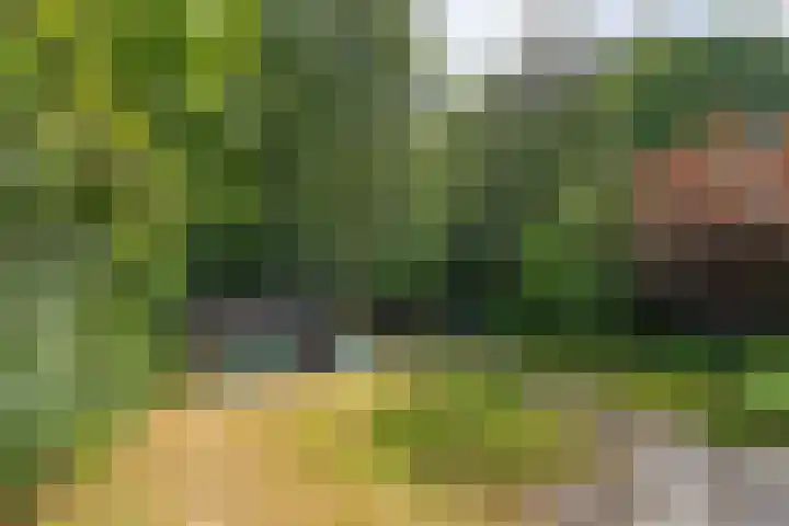 Zijlroede 119 Heerenveen thumbnail 35