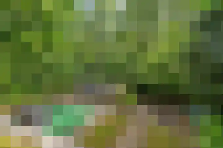 Zijlroede 119 Heerenveen thumbnail 36