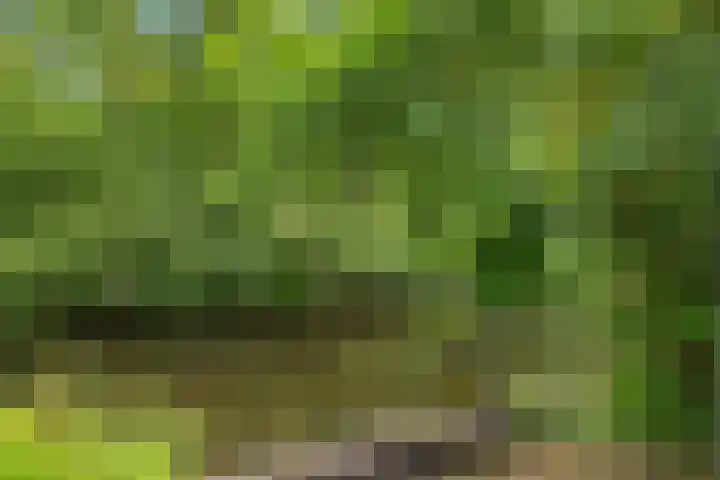 Zijlroede 119 Heerenveen thumbnail 37