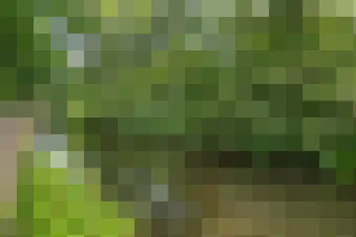 Zijlroede 119 Heerenveen thumbnail 38