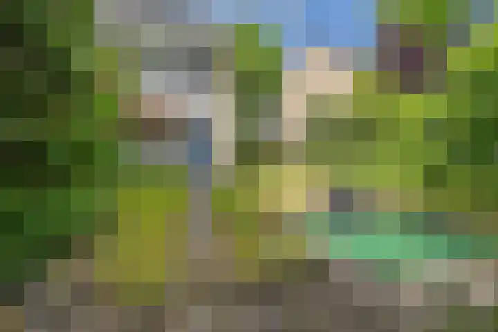 Zijlroede 119 Heerenveen thumbnail 39