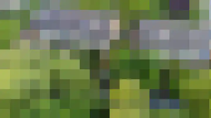 Zijlroede 119 Heerenveen thumbnail 42