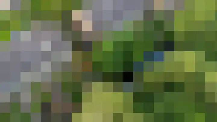 Zijlroede 119 Heerenveen thumbnail 5