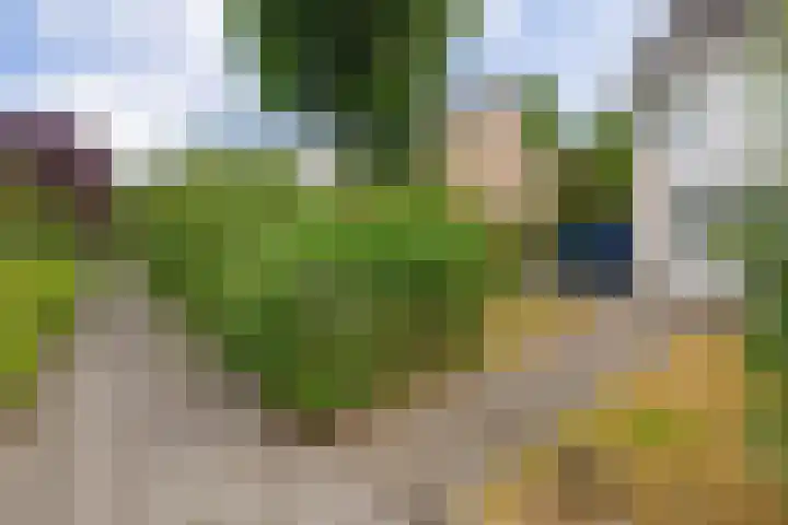 Zijlroede 119 Heerenveen thumbnail 6