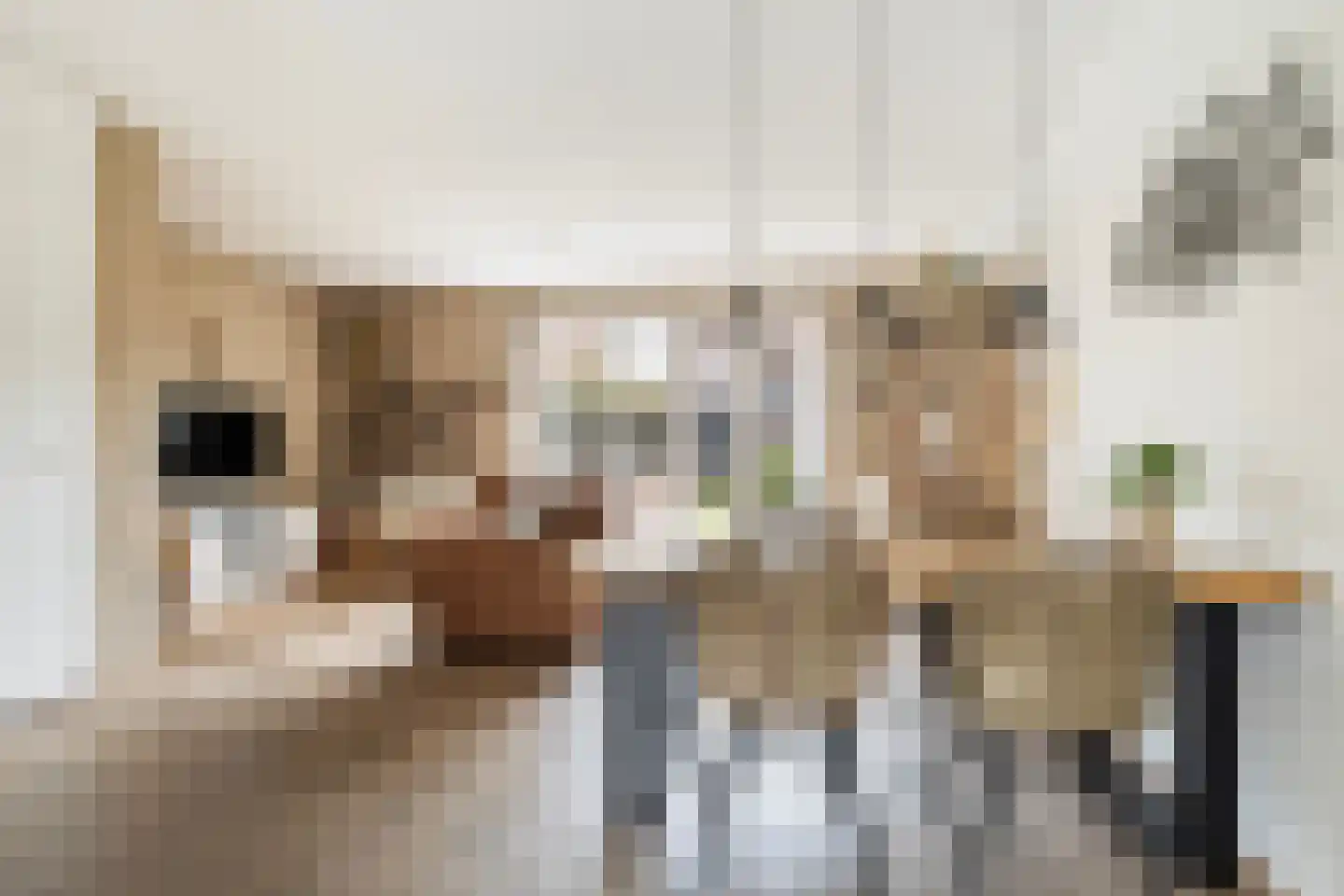 Zijlroede 13 Leeuwarden thumbnail 21
