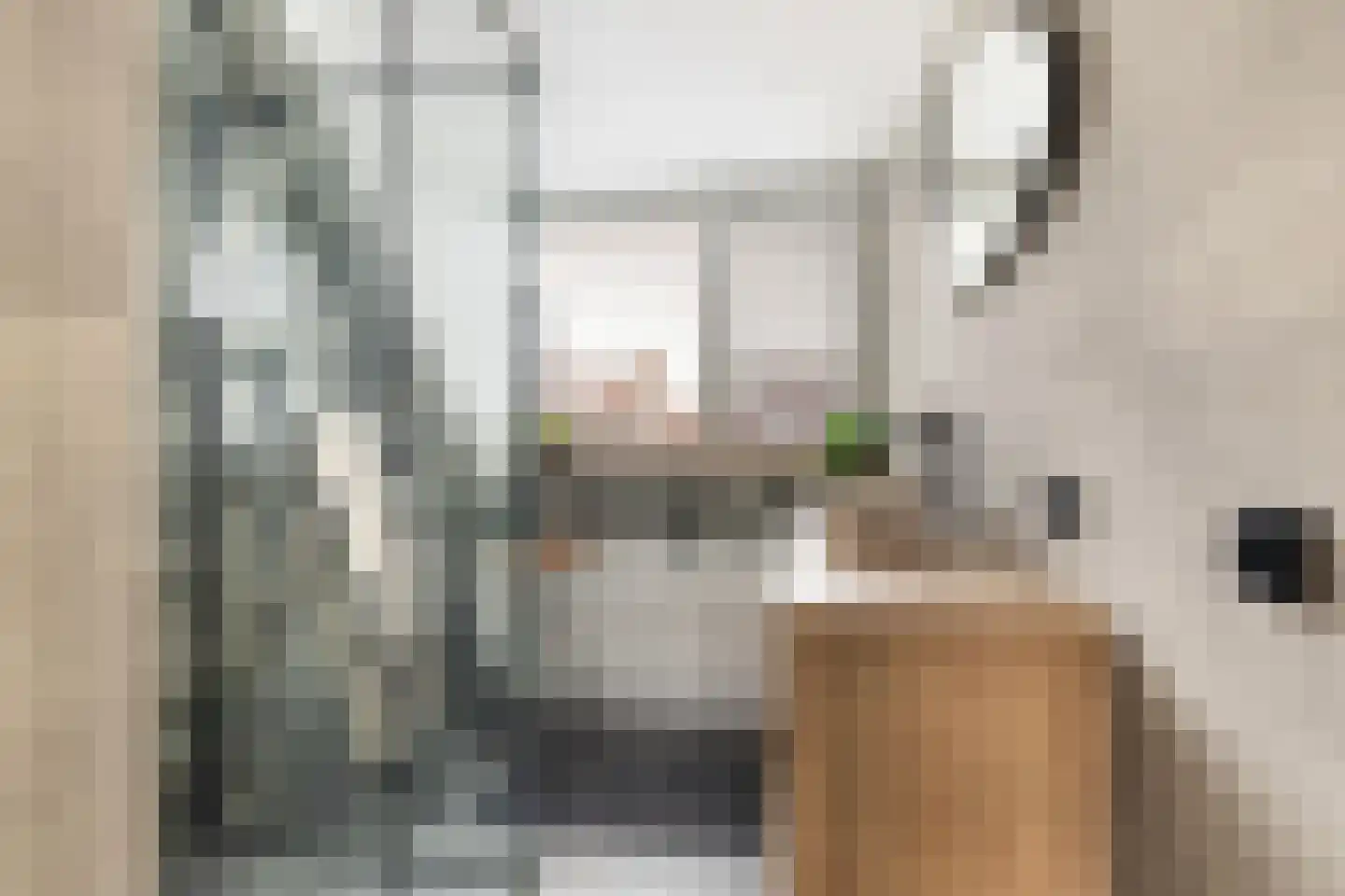Zijlroede 13 Leeuwarden thumbnail 31