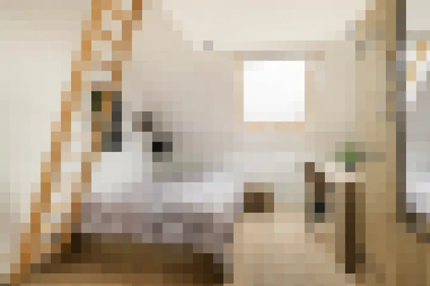 Zijlroede 13 Leeuwarden thumbnail 35
