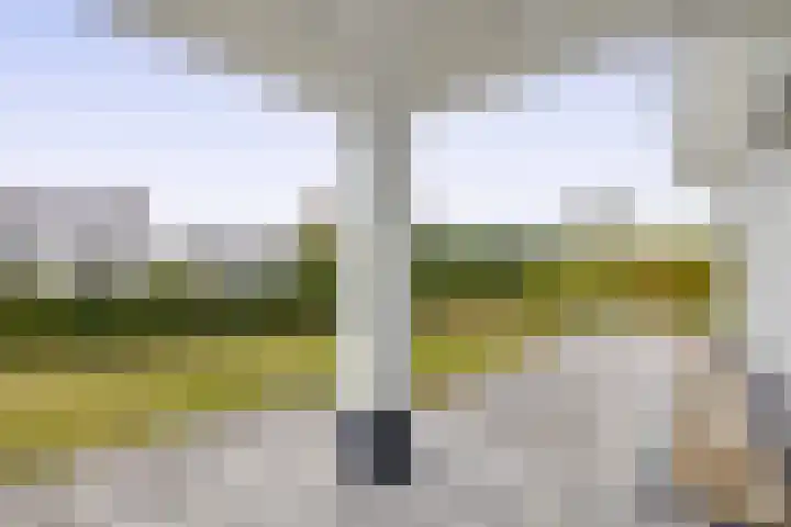Zijlroede 20 Lemmer thumbnail 53