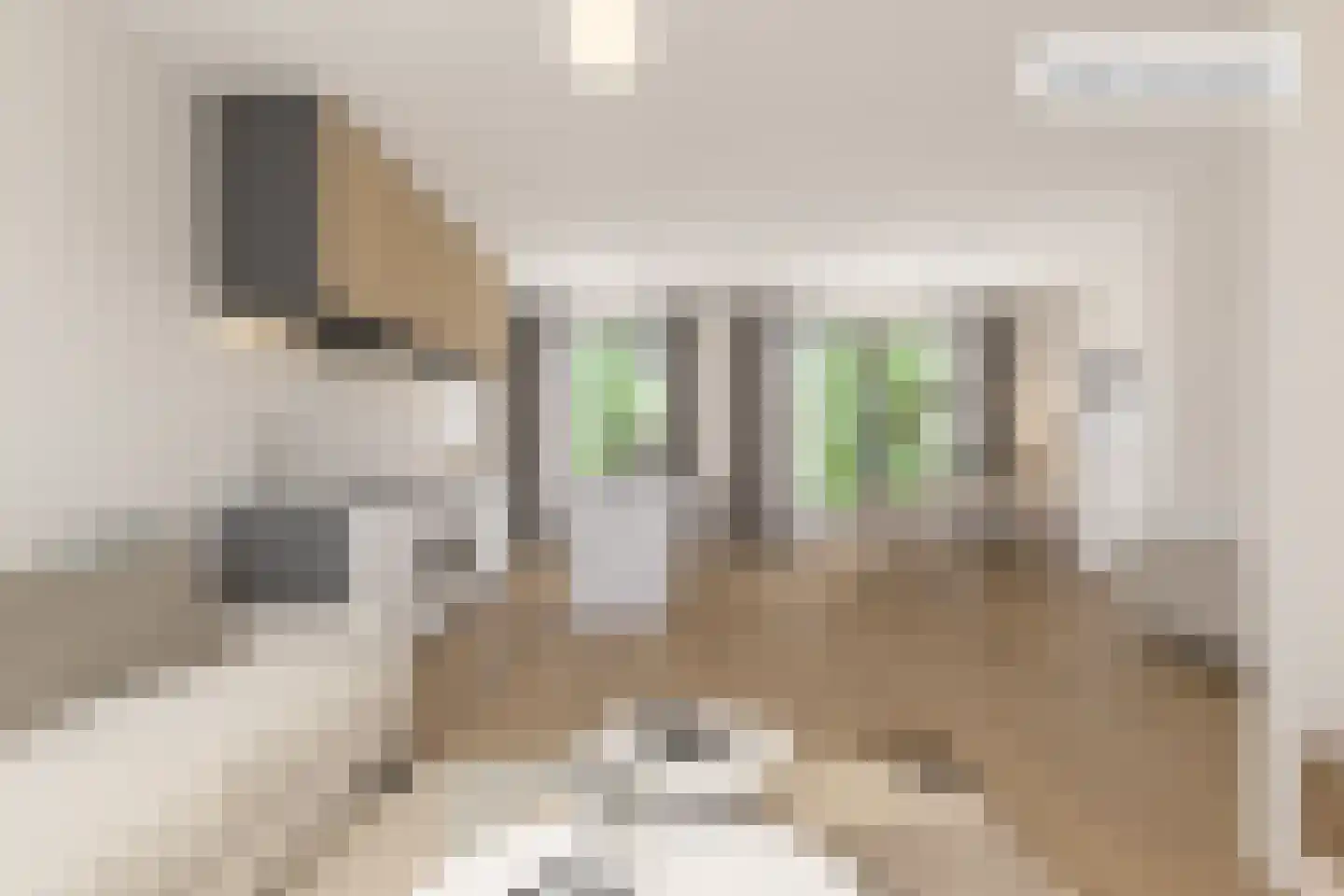 Zijlroede 25 Sneek thumbnail 13