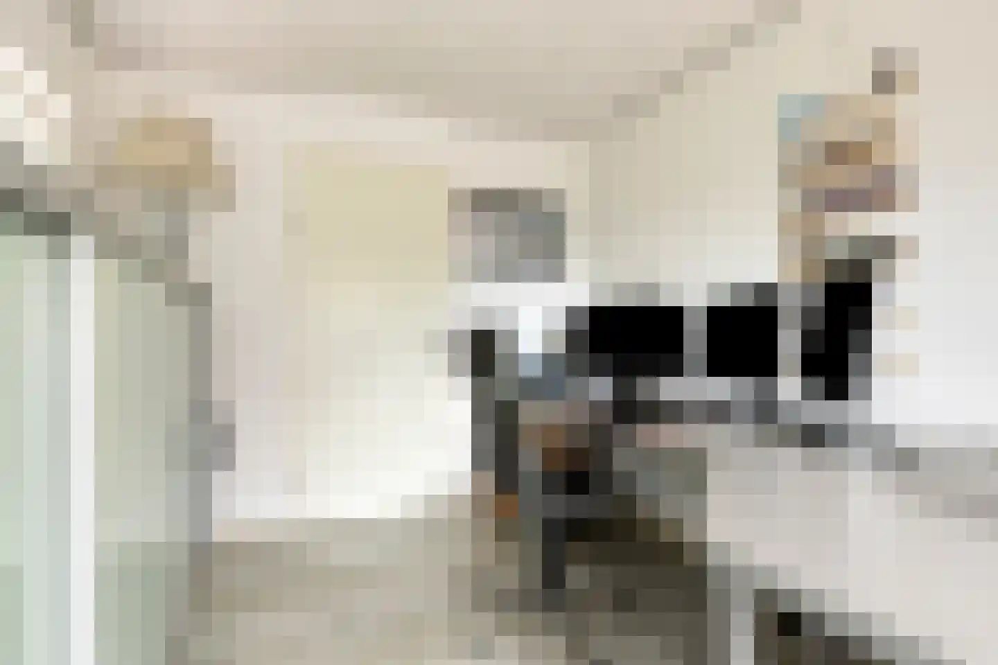 Zijlroede 25 Sneek thumbnail 20