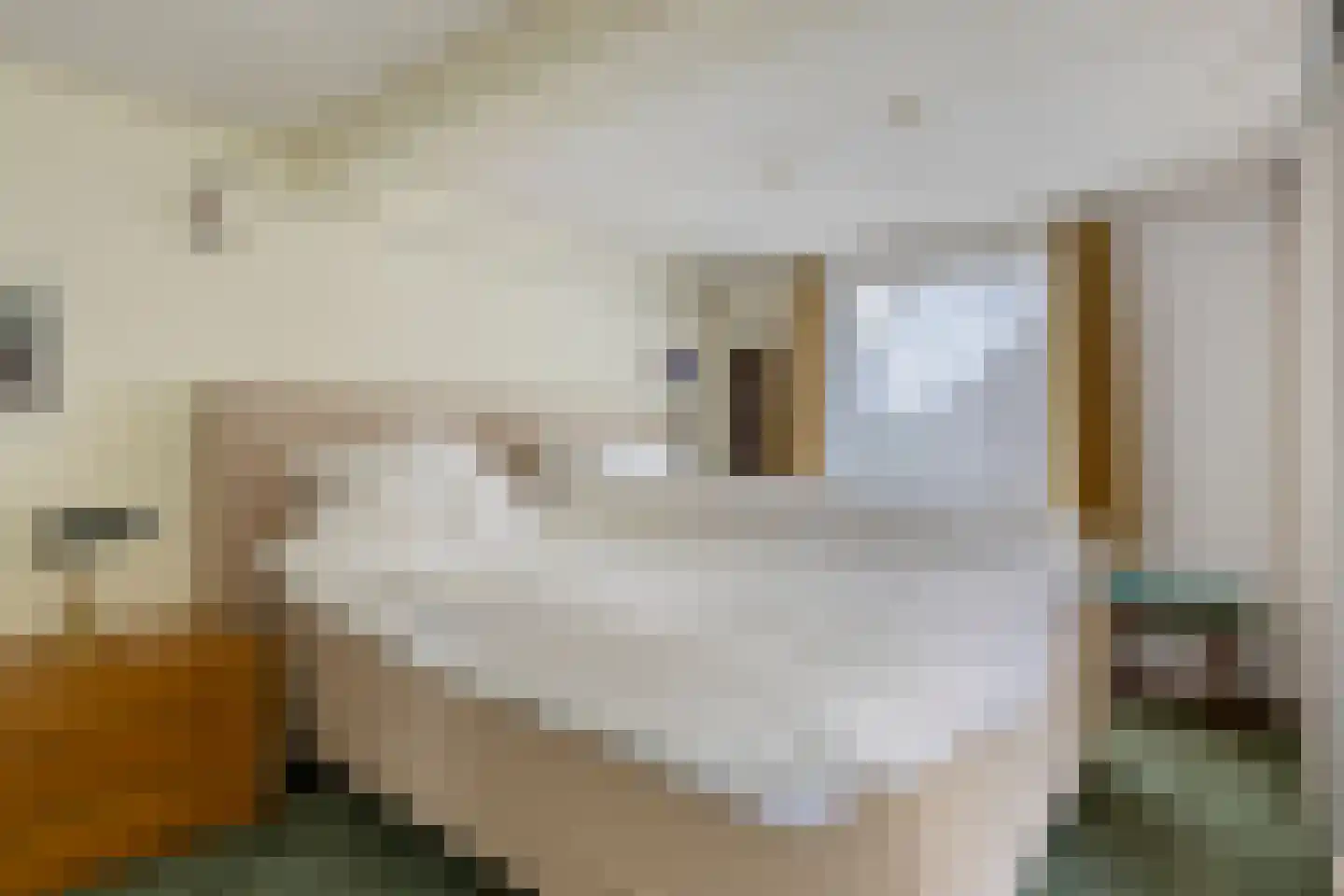 Zijlroede 25 Sneek thumbnail 23