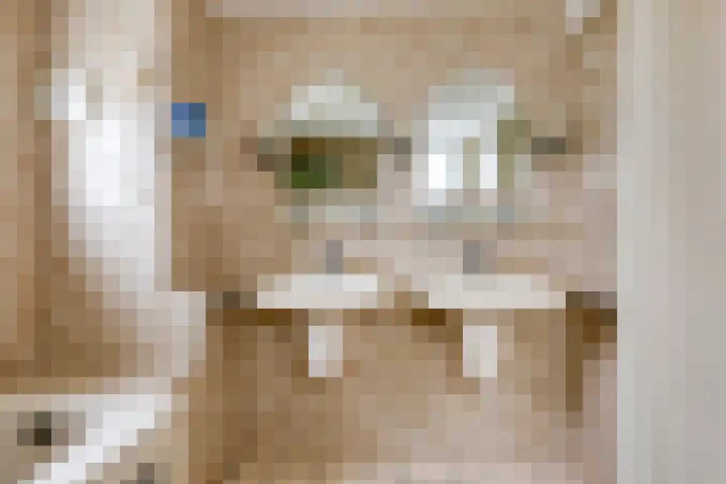 Zijlroede 25 Sneek thumbnail 27