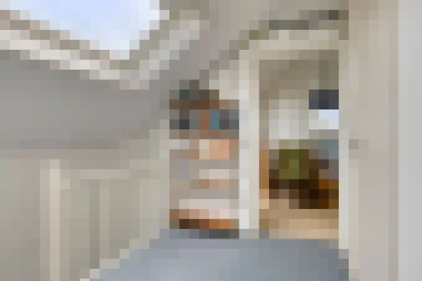 Zijlroede 25 Sneek thumbnail 32