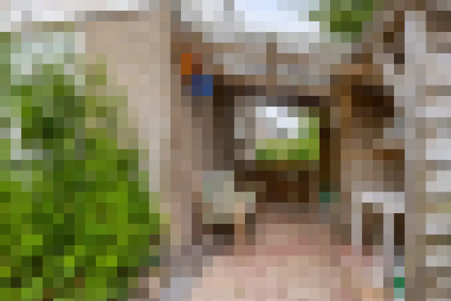 Zijlroede 25 Sneek thumbnail 40