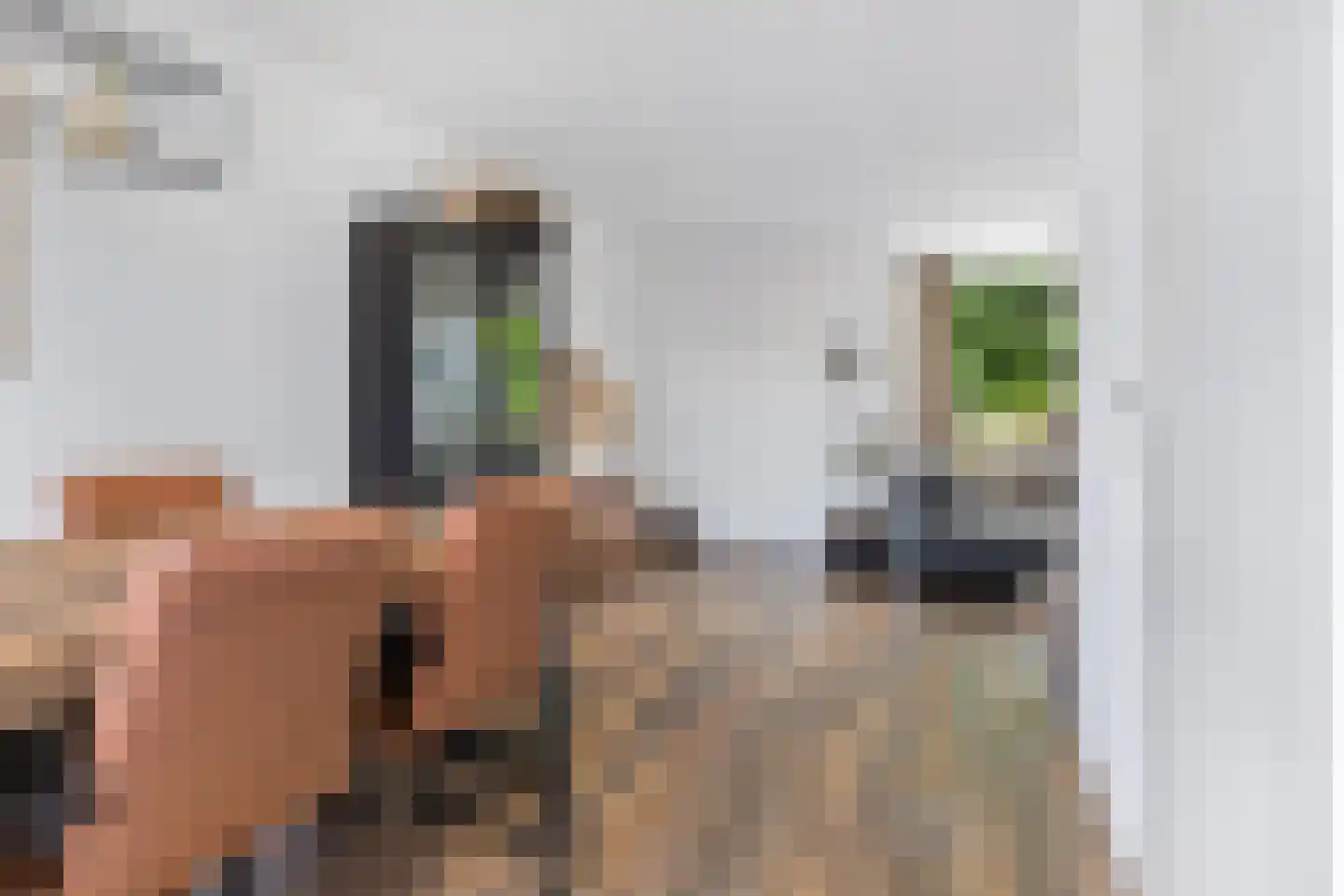 Zijlroede 27 Heerenveen thumbnail 12