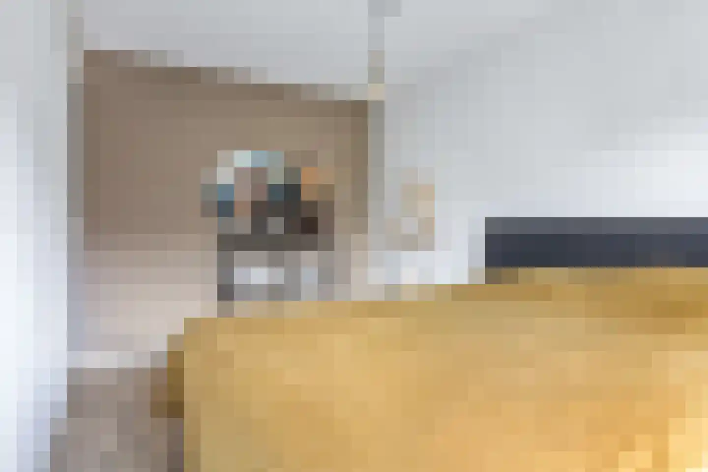 Zijlroede 27 Heerenveen thumbnail 26