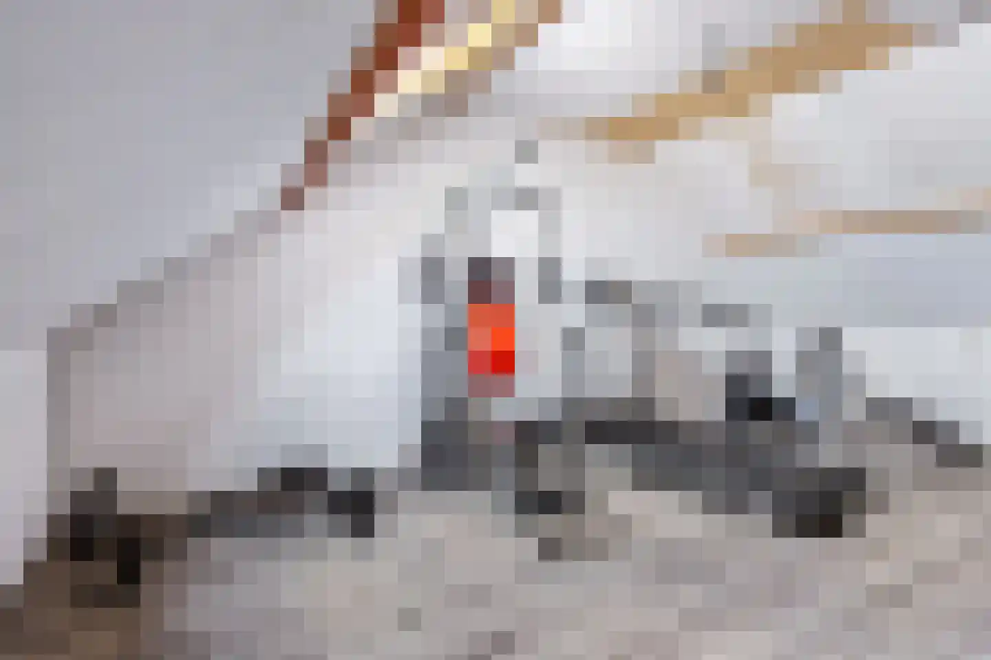 Zijlroede 27 Heerenveen thumbnail 33