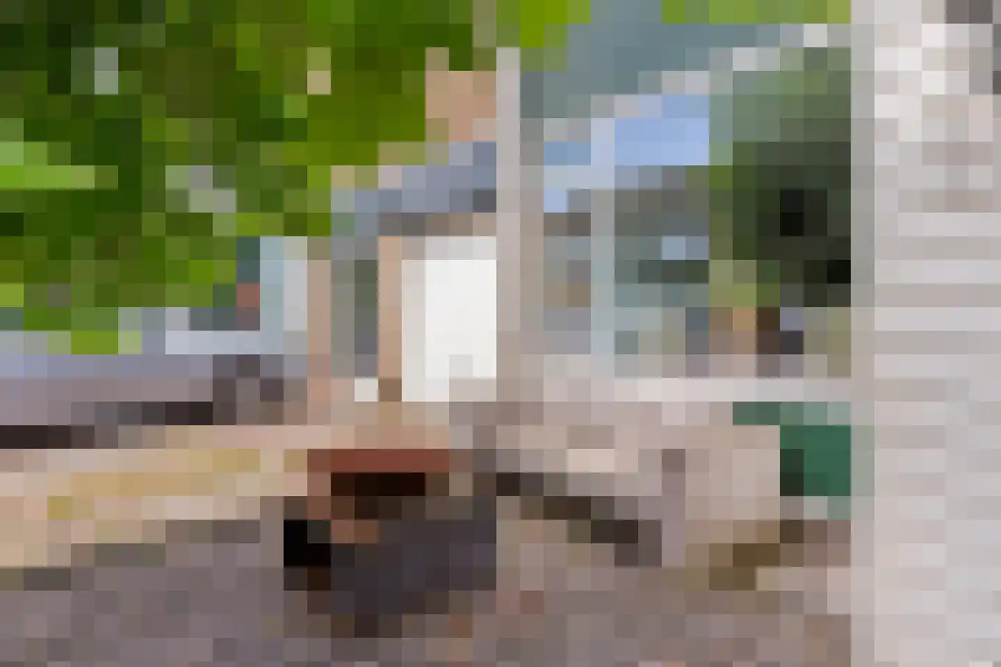 Zijlroede 27 Heerenveen thumbnail 36